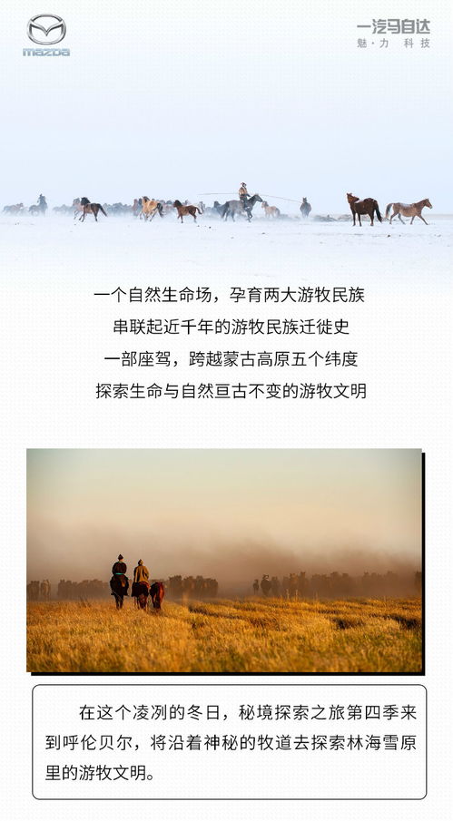 希望之村2来生：探寻新的开始与可能，重生的道路仍在远方等待着我们