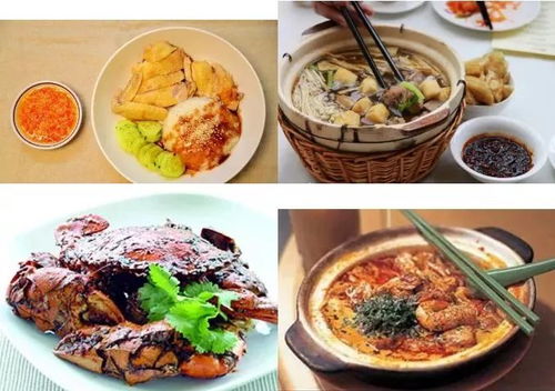 香港免费资料大全正版官网|探秘澳门美食文化之旅_Hybrid.9.669