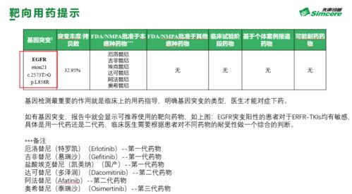 澳门精准三码三期内必开安卓版|国产化作答解释落实_MT.2.141
