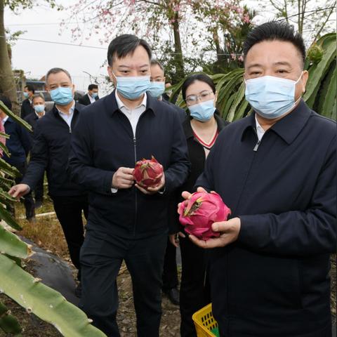 新澳最新最快资料结果|探索科技新趋势与未来生活_维护制.3.293