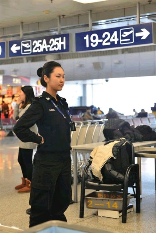 机场安检员中文版2下载-机场安检员中文版2024官方手机版下载v.2.84