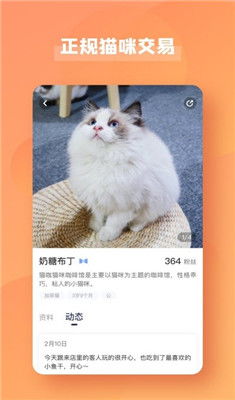 猫猫喵喵内置功能菜单下载-猫猫喵喵下载安卓v.2.57