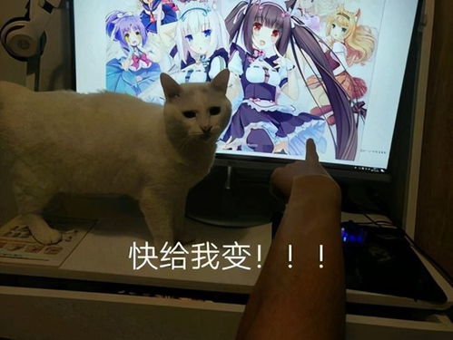 我是猫中文版(玩家自制)安卓手机版下载-我是猫中文版官方下载app无限红包v.3.74
