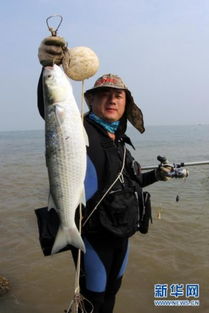 海钓高手手游下载-海钓高手手游最新正式版（暂未上线）v.3.63