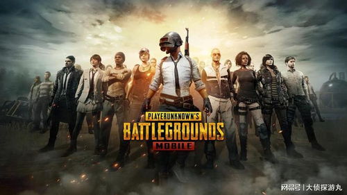 pubgmobile3.5最新版下载安装-pubgmobile3.5无广告版下载v.3.79